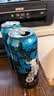耕晟荣德国原装进口哈勒道城堡小麦啤酒浑浊型精酿白啤500ml*24罐整箱 德国哈勒道城堡500ml*24罐 实拍图