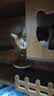 康佳（KONKA）吸尘器家用无线吸拖一体三合一大吸力手持便携小型轻音大吸力洗地机宠物吸毛吸尘价保30天自动清洗 【蓝杉】扫吸拖+双滤芯 实拍图