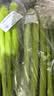 大芹菜约500g 实拍图