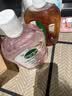 滴露（Dettol）衣物消毒液自然香氛洗衣除菌液 除螨48h留香1000ml*1灭活白念珠菌 实拍图