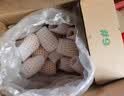 绿养道现货【顺丰快递】云南蒙自枇杷果2斤净重 单果20g+ 新鲜水果 实拍图