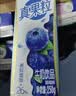 蒙牛真果粒蓝莓味牛奶饮品250g*12盒 新老包装 送礼礼盒 实拍图