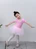 舞东方舞蹈服儿童女夏季短袖芭蕾舞裙女孩幼儿中国舞跳舞衣服女童练功服 粉色（长袖） 130  (高120-130cm 重38-43斤) 实拍图