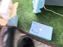 妙界【中秋节礼物】Y7至尊眼部按摩仪蒸汽护眼成人儿童护眼仪玉石热敷眼罩点振太阳穴按摩送长辈  金 实拍图