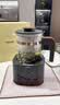 格丽思（GREENIS）煮茶壶 喷淋式煮茶器纯钛养生壶烧水壶泡茶壶一体机全自动保温壶蒸茶壶新款高档大气礼盒 深空灰礼盒装（纯钛壶底-单直筒茶漏） 实拍图
