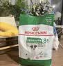 皇家狗粮 成犬狗粮 犬粮 宠物大型犬 GR26全价犬粮 ≥15月4KG 实拍图
