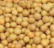 奥绿缓释肥1号原装进口控释肥多肉月季植物通用缓释花肥料250g*2瓶 实拍图