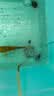鱼呼吸鱼缸增氧气泵配件直径6cm【纳米沙盘*2个】加泡细化溶氧饼石家用 实拍图