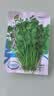 【限时优惠】随种随吃调料菜种子组合春季四季种耐热阳台盆栽蔬菜 小叶香菜种子1包约1000粒 一包约1000粒 实拍图