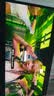 微星（MSI）流光X24 MAG 274QP QD-OLED X24 27英寸2K240Hz 三星面板OLED电脑显示器 支持旋转升降电竞显示屏 实拍图