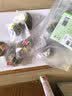 半山农蒲公英茶150g(5g*30包）蒲公英叶 婆婆丁茶中药材降火喝凉茶包 实拍图