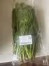 大菠菜300g 实拍图