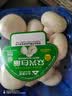 【烧烤季】白蘑菇(口蘑) 230g 实拍图
