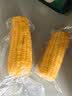 佳农内蒙黄糯玉米棒8袋*220g 真空锁鲜 源头直发 包邮 生鲜 实拍图