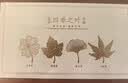 天色四季之叶黄铜叶脉书签礼盒 送女老师礼物金属中国风文创纪念品伴手礼生日年会TS-5881 实拍图