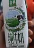 伊利【新鲜日期】金典纯牛奶 200ml*12 3.6g乳蛋白礼盒装 实拍图