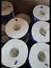 维达（Vinda）有芯卷纸 蓝色经典4层200克*27卷 高克重卫生纸 厕纸纸巾整箱 实拍图