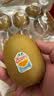 佳沛（zespri）新西兰金奇异果10粒巨大果146-175g猕猴桃水果礼盒 实拍图