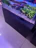 创宁变频潜水泵静音过滤循环潜水泵CN9500-80W 10档流量调节循环抽水 实拍图