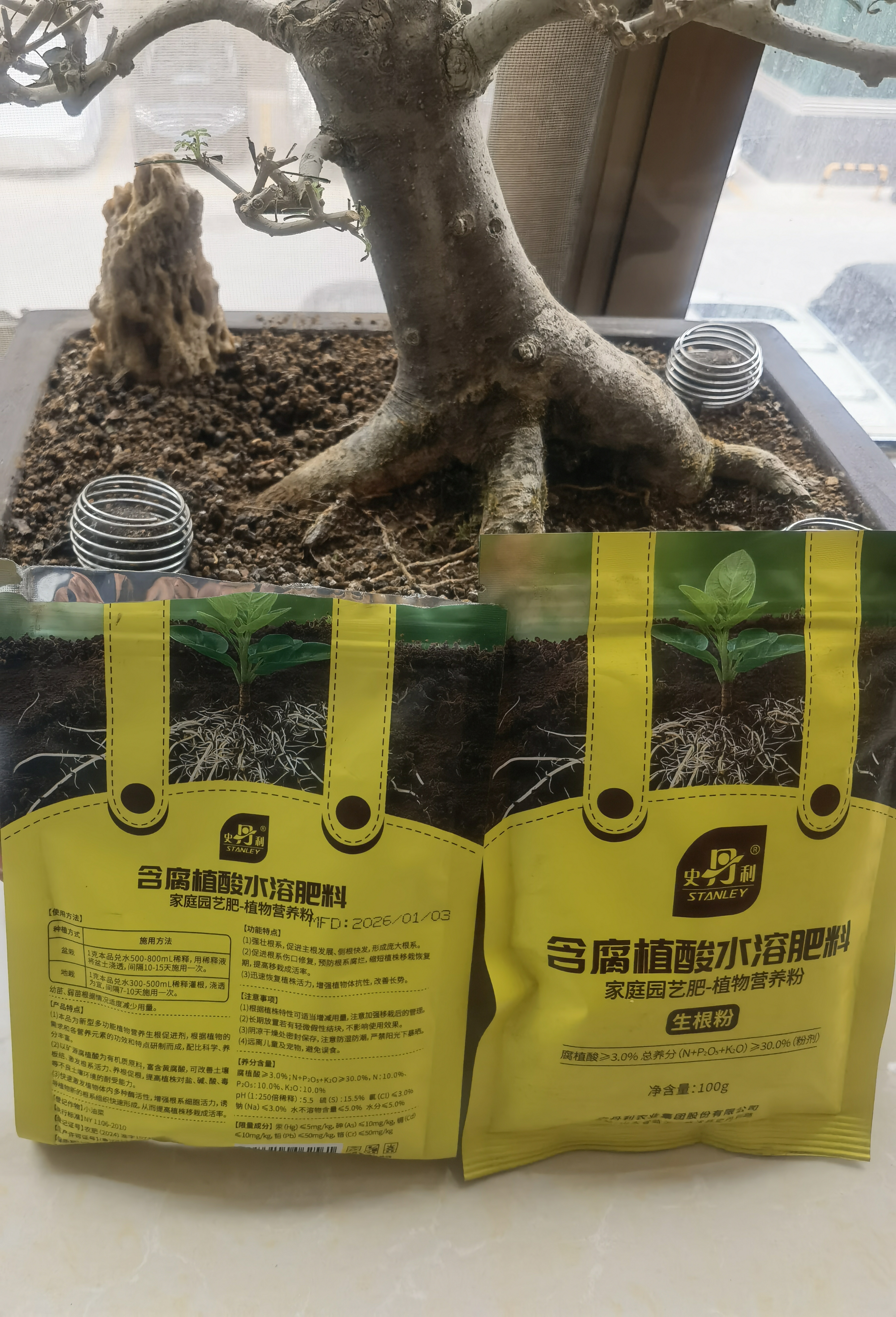史丹利快速生根粉植物通用树木移栽强力扦插专用100g 实拍图