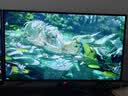 华硕ROG XG27AQDMGR 27英寸2K电竞显示器2K 240Hz显示器OLED 0.03ms响应HDR400 G-SYNC HDMI2.1显示器 实拍图
