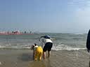 惊浪儿童下水裤赶海连体雨裤防水雨靴一体涉水玩水幼儿园装备 34码 实拍图