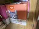 顽皮（Wanpy）猫零食金枪鱼鲜封包800g(80g*10包)猫湿粮成幼猫咪零食 实拍图