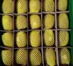 佳沛（zespri）x1号会员店联名款阳光金奇异果20粒礼盒单果约146-175g水果猕猴桃 实拍图