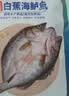仙泉湖冷冻三去白蕉海鲈鱼700g/袋(2条装)肉厚刺少水产生鲜食材 实拍图