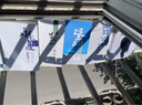 俞敏洪励志图书（套装全5册） 实拍图