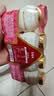 界界乐活力装乳酸菌饮品草莓味 100ml×40瓶含免疫球蛋白儿童整箱 实拍图