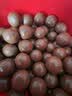 麦提莎（Maltesers）麦芽脆心牛奶巧克力 桶装520g 桶装 休闲零食 糖果 生日礼物 送礼 实拍图