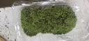 孙凯（SUNKAI）鲜活苔藓青苔藓 微景观植物盆景生态瓶diy绿植水陆缸假山盆栽盆景 实拍图