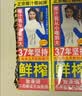椰树牌椰汁 245ml*6盒 植物蛋白饮料 正宗海南特产 实拍图
