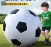 TaTanice户外玩具充气大足球幼儿园专用世界杯巨型皮球儿童男女孩生日礼物 实拍图