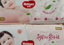 好奇（Huggies）铂金装小桃裤拉拉裤大号L60片(9-14kg)尿不湿【散热口碑王】 实拍图