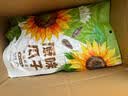 甘源牌鲜虾味虾条豆果500g 休闲零食花生青豌豆儿童膨化食品追剧小零食 实拍图