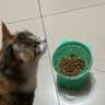 皇家猫粮 绝育成猫粮 SA37通用粮 1-7岁10KG 实拍图