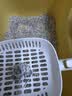 京东京造 五合一木薯猫砂豆腐钠基矿砂植物混合猫砂2.4kg*4 不沾底除臭 实拍图