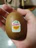 佳沛（zespri）新西兰金奇异果猕猴桃 5粒装 单果约88-103g 水果源头直发 实拍图