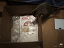 皇家猫粮 成猫猫粮 营养均衡 F32 通用粮 1-7岁 4.5kg*2 实拍图