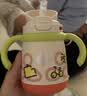 babycare儿童保温杯婴儿宝宝学饮杯吸管水杯水壶不锈钢300ml-新旧款混发 实拍图