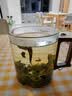 泥也水杯子玻璃泡茶杯高硼硅耐热加厚家用办公杯喝茶个人专用杯大容量 实拍图