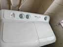 海尔（Haier）半自动双桶双缸波轮洗衣机 12KG大容量  强力去污洗大件 一级能效家电补贴以旧换新 XPB120-81D2 实拍图