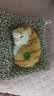 亦趣仿真猫玩偶会叫小猫咪毛绒玩具摆件可爱猫咪公仔女孩儿童生日礼物 会叫橘花猫咪+毛绒垫子 实拍图