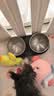 小佩宠物猫碗猫咪斜口碗 双碗15°护颈猫食盆狗碗 不锈钢双食碗 实拍图