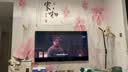 TCL艺术壁纸电视 65T6M 65英寸 3.99cm平板薄 轻盈家居美学 QD-Mini LED 全通道360Hz 电视2026新款 实拍图