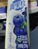蒙牛真果粒蓝莓味牛奶饮品250g*12盒 新老包装 送礼礼盒 实拍图