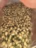 福茗源花草茶 茉莉花苞 特级品质横县三伏晴天茉莉花茶花蕾养生花茶100g 实拍图