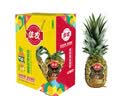 【礼盒】佳农菲律宾黑钻甜心菠萝2粒2.5kg 晒单实拍图